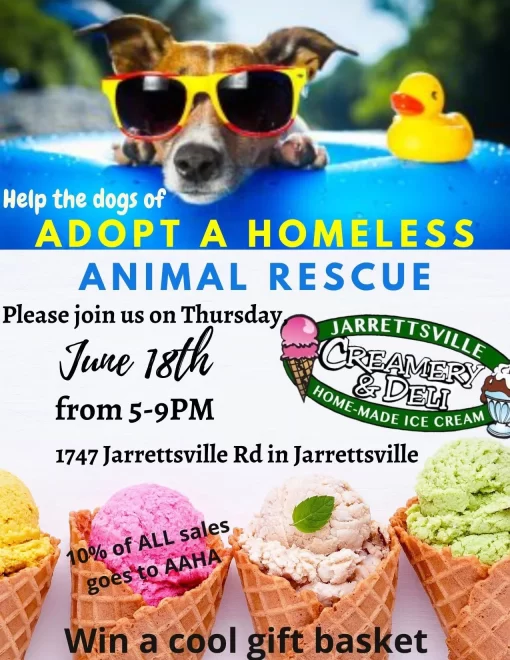 Dog wearing bright yellow sunglasses resting on a blue pool float, with bold text about adopting homeless animals on a charity flyer.
