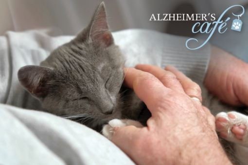 New Hampshire SPCA - Alzheimer\'s Cafe