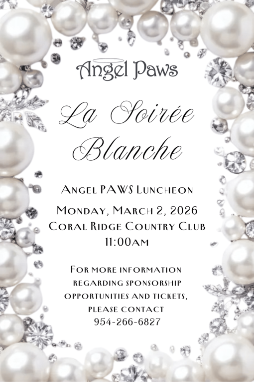 Humane Society of Broward County - Angel PAWS Luncheon!