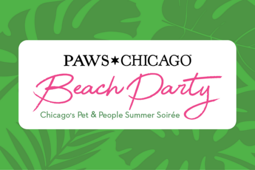PAWS Chicago - Beach Party!