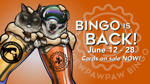 Bright orange banner advertising 'BINGO IS BACK!' with event dates June 12–28 and “Cards on sale NOW,” featuring a cat and dog on a glossy board with animal rescue logos.