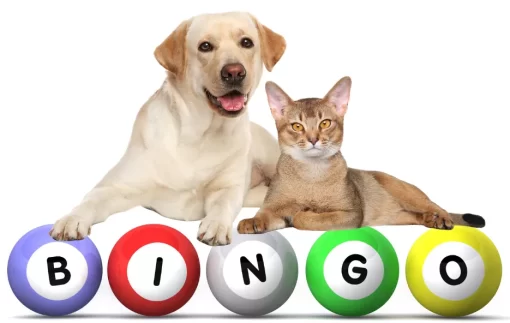 Montgomery County Humane Society - Bingo!