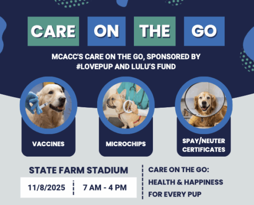 #LovePup Foundation - Care on the Go!