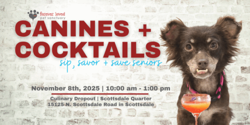 Forever Loved Pet Sanctuary - Canines & Cocktails 2025!
