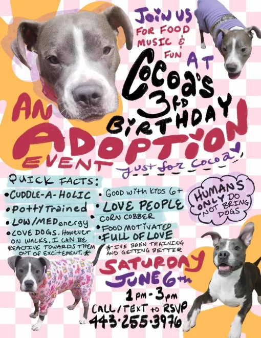 Colorful dog adoption event poster with multiple dogs and handwritten event details on a pink checkerboard background.