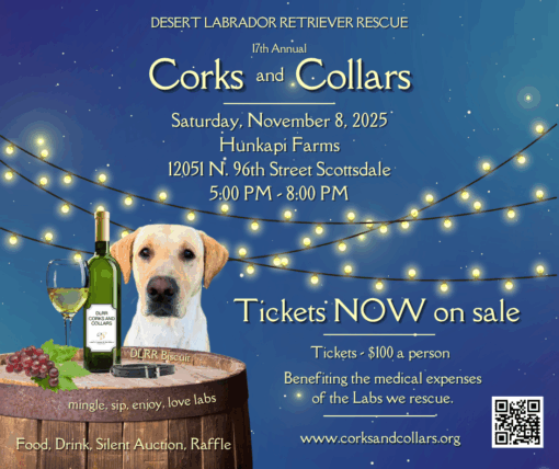 Desert Labrador Retriever Rescue - Corks & Collars 2025!