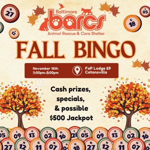 BARCS Fall Bingo!
