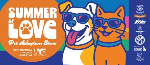 Poster-style image announcing 'Summer of Love' Pet Adoption Store with two dogs wearing sunglasses and the event text on a bright orange circle; right side shows logos of sponsors and partners.