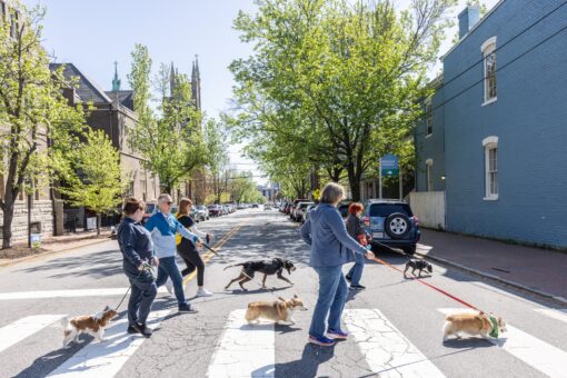 Richmond SPCA - History Hounds Explore Scott\'s Addition Walking Tour!