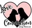 Love Connection Dog Rescue