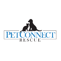 PetConnect Rescue logo with a black dog and cat silhouette above a blue 'PETCONNECT' wordmark and 'RESCUE' beneath.