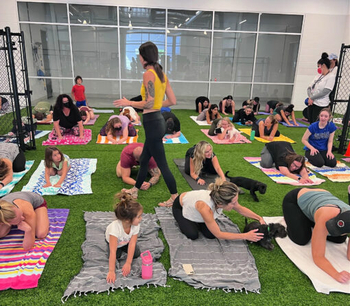 Group yoga class on colorful towels on artificial turf; instructor in a yellow top guides students indoors near a glass wall.