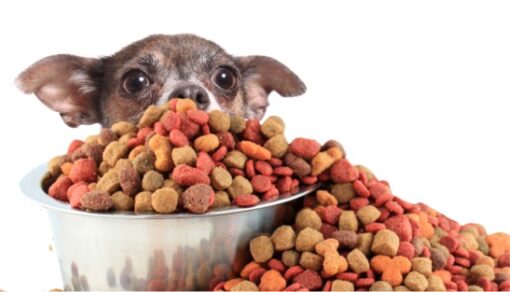 Pensacola Humane Society - Pet Pantry!