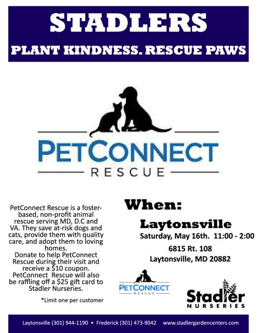 Flyer for Stadlers fundraiser featuring PetConnect Rescue logo with dog and cat silhouettes; Laytonsville event on May 16, 11:00–2:00 at 6815 Rt. 108, Laytonsville, MD 20882.