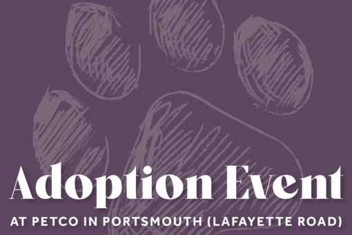 New Hampshire SPCA - Adoption Event Portsmouth Petco