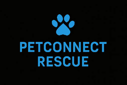 Blue paw print logo above the text 'PETCONNECT RESCUE' on a black background.