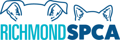Richmond SPCA logo: stylized blue dog ears above the teal and blue wordmark 'RICHMOND SPCA'.