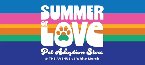 Bright promotional banner for Summer of Love Pet Adoption Store at The Avenue, White Marsh, with rainbow stripes and paw motif