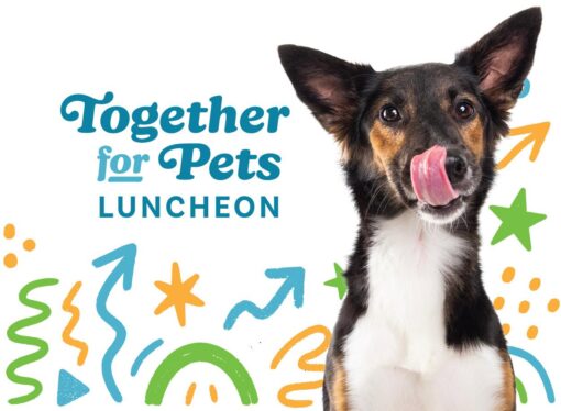 Dog with tongue out beside colorful abstract shapes and the text 'Together for Pets Luncheon'.