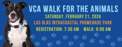 Humane Society of Broward County - VCA Walk for the Animals!