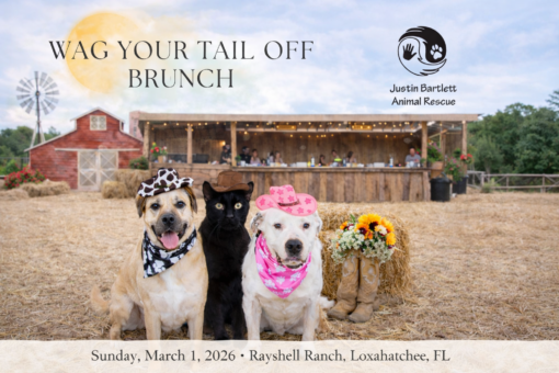 Justin Bartlett Animal Rescue - Wag Your Tail Off Brunch!