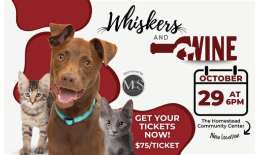 Foothills Animal Rescue - Whiskers & Wine!