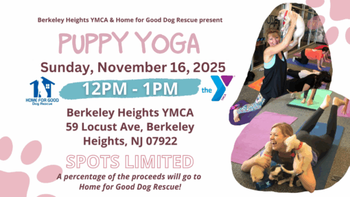 Home For Good Dog Rescue - Puppy Yoga!