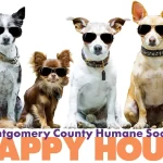 Yappy Hour