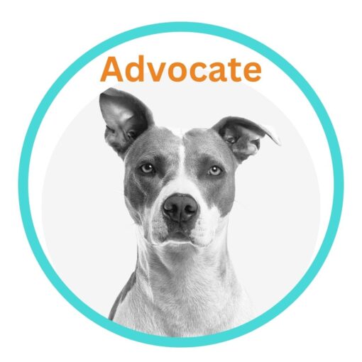 advocate button to page with pet advocacy info