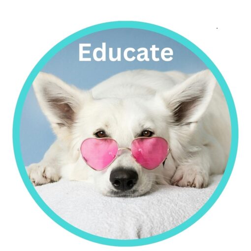 educate button to educate page