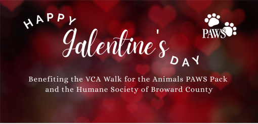 Humane Society of Broward County - Galentine\'s Day!