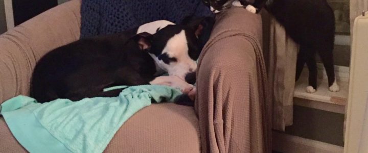 That which you mistake for madness is but an over acuteness of the senses That which you mistake for madness is but an over acuteness of the senses