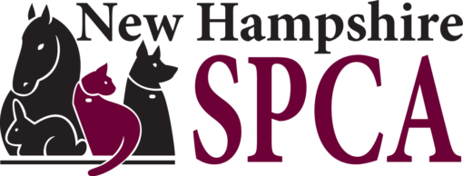 New Hampshire SPCA - Paws Walk!