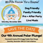 polar plunge