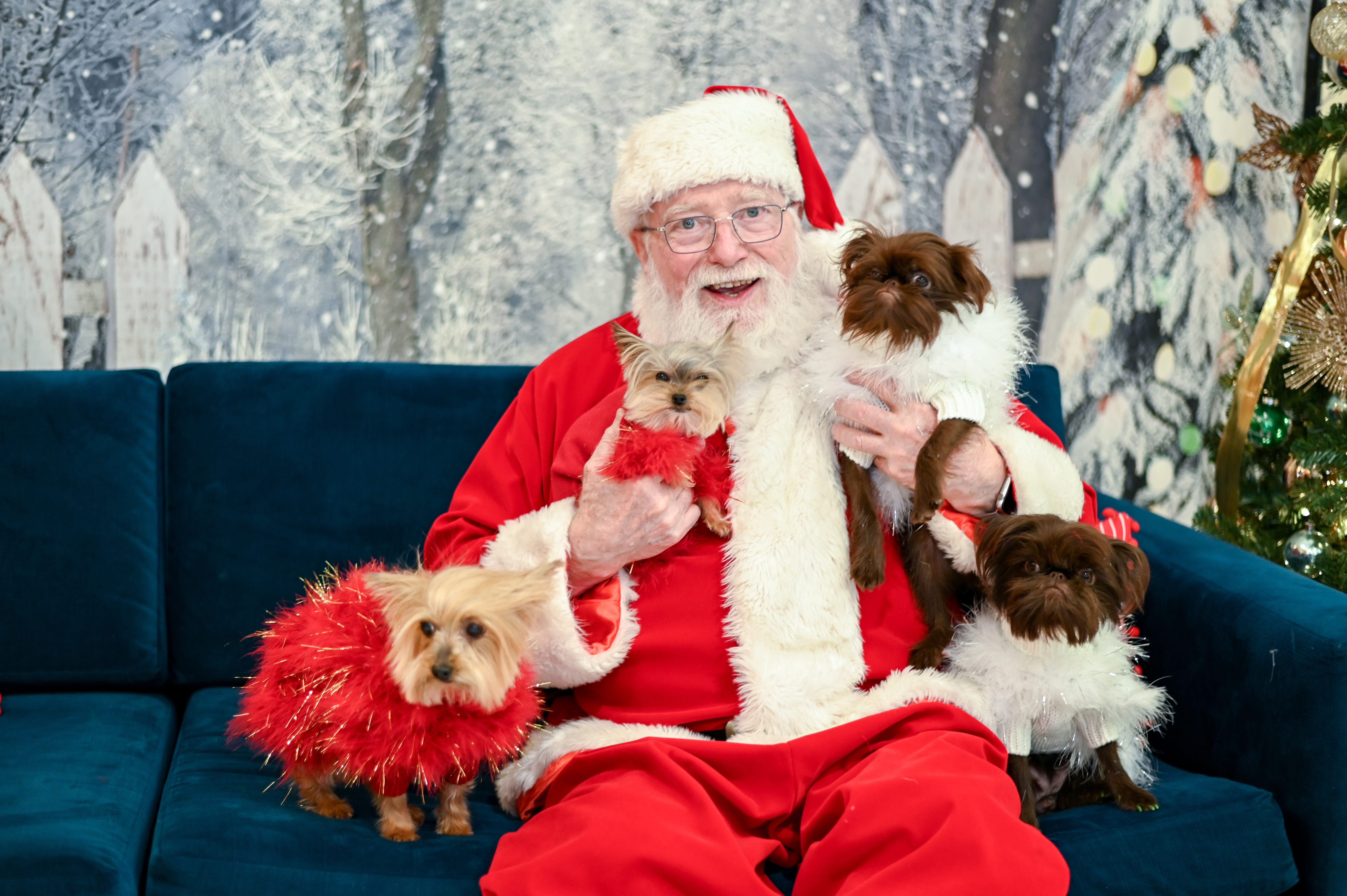 Humane Rescue Alliance - Holiday Pet Photos with Santa!
