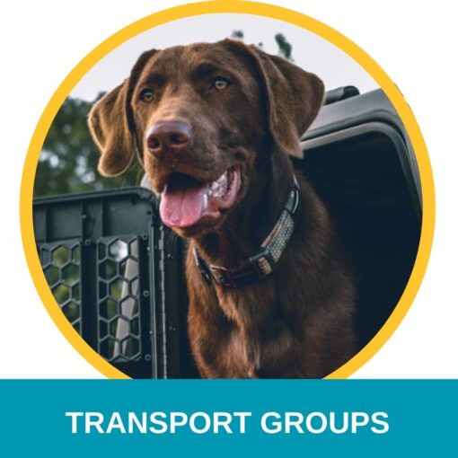 transport rescue animals