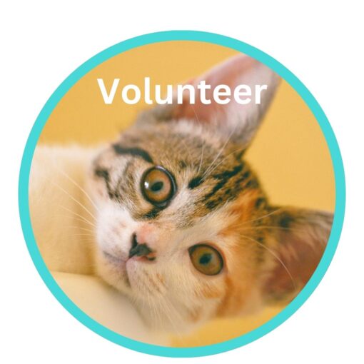 button image for animal volunteer info